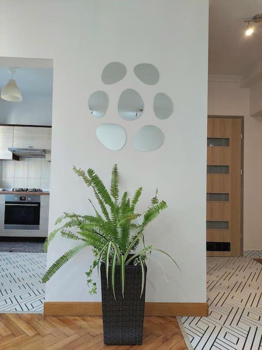 Apartament Domin Domin Częstochowa Zewnętrze zdjęcie